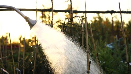 Aufkleber - Close-up of a sprinkler in a garden center nursery at sunset. Slow motion