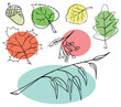 Vector collection of varied leaves and plants