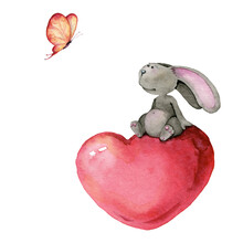 Rabbit With Heart