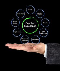 Poster - Nine Components of Supplier Excellence