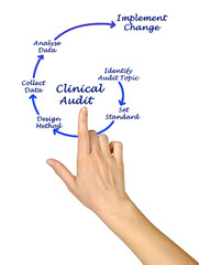 Wall Mural - Six Steps of Clinical Audit.