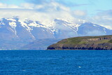 Fototapeta Tęcza - Beautiful blue fjord and the hills overlooking partially covered snowy mountain in the summer near Hofn, Iceland