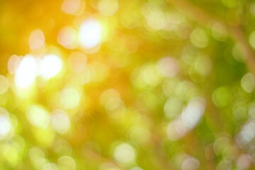 Wall Mural - natural bokeh background with light leak.