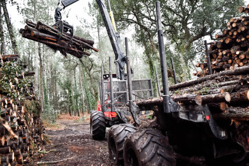 Sticker - big vehicle for the forest industry in action