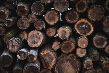 Wall Mural - Wooden natural sawn logs as background, top view, flat lay. Wood texture.