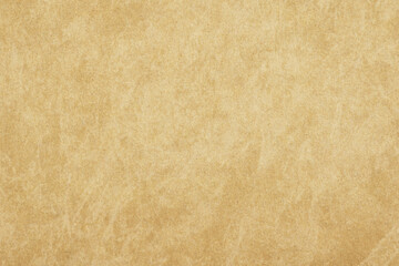 Canvas Print - Old paper texture. Paper vintage background	
