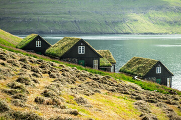 Wall Mural - picturesque view of tradicional faroese grass-covered houses in the village bour during autumn. vaga