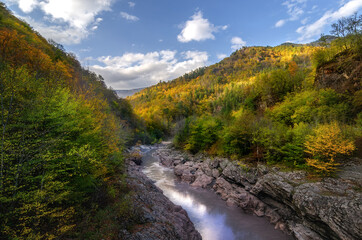 Sticker - Mountain river in autumn forest. Golden autumn in the forest. Adygea, Russia
