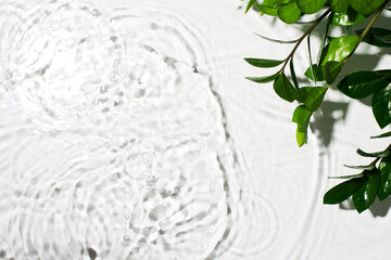 Organic cosmetic backdrop clean transparent water splashes with green leaf, sunlight on white background