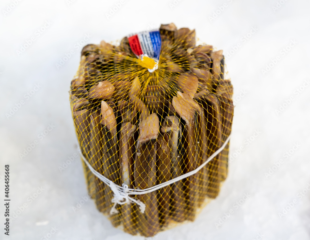 Grooved Razer Shell Stack of Solen marginatus, common name