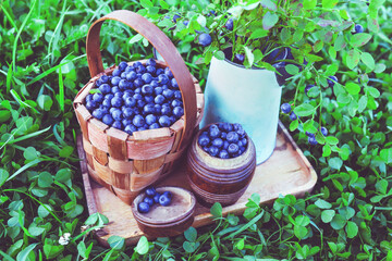 Wall Mural - Ripe blueberries in basket on tray on background of greenery.