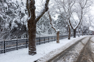 Snowy Day of 2021 at Camlica Hill, Istanbul