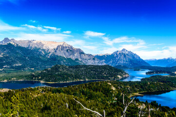 Wall Mural - Lake in Bariloche in the summer of March. Sunny. Water, pine trees.