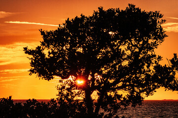 Wall Mural - Sunset on the Gulf of Mexico