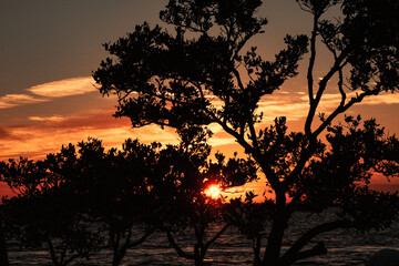 Wall Mural - Sunset on the Gulf of Mexico