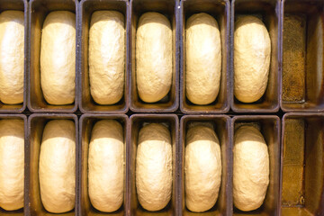 Loaves of bread from the dough are in forms for baking.