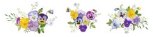 Watercolor Pansy Flowers Bouquet Collection. Vector Viola Spring Floral Set Illustration. Summer Bloom