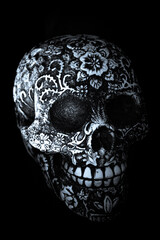 False bone skull on black background