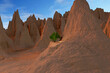 ein Baum in steiniger, trockener, wüstenartiger Felsenlandschaft - 3D Render