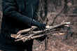 Male hands in black gloves collect firewood for the fire. Bonfire in the autumn forest. Campfire travel trip concept