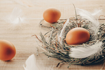 Easter egg. Happy Easter decoration: natural colour eggs in basket with spring tulips, white feathers on wooden table background. Traditional decoration in sun light.