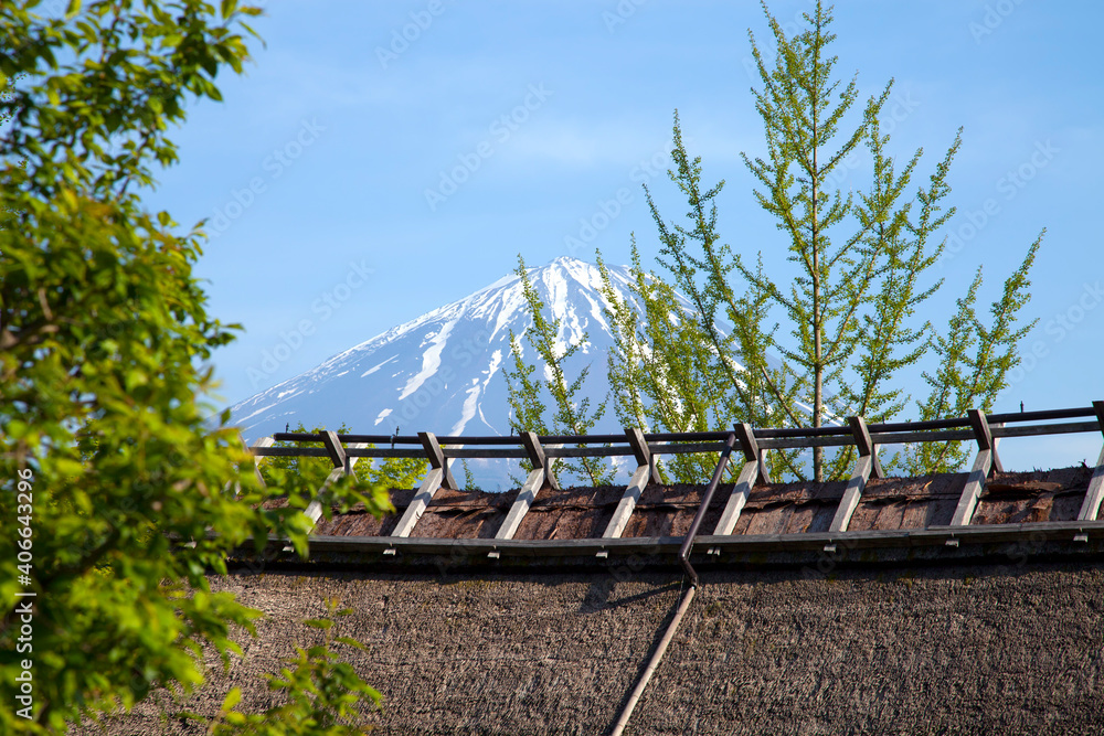 Traditional thatched roof buildings in the traditional village of Saiko ...