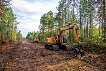 Excavator Grapple During Clearing Forest For New Development. Tracked Backhoe With Forest Clamp For Forestry Work. Tracked Timber Crane And Hydraulic Grab Log Loader.