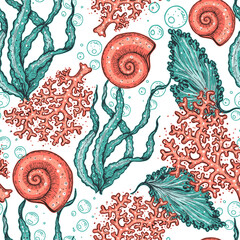 Wall Mural - Seamless pattern. Underwater world hand drawn. Color illustration. Seaweed, coral, seashell illustration. Vintage design template. Undersea world collection.