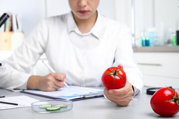 Wall Mural - scientist with tomato at table in laboratory, closeup. poison detection