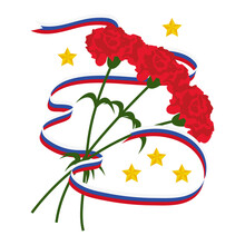 Carnation Flowers Red, Ribbon Three Colors, Red, White, Blue, Tricolor, Yellow Volumetric Stars
