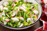 Fototapeta Lawenda - Radish and cucumber salad with fresh green onion in bowl