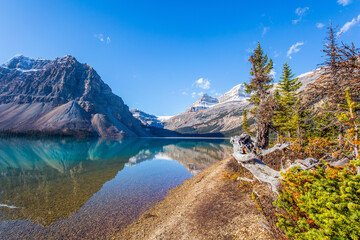 Wall Mural - Mountains reflected in the water