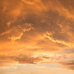 Wall Mural - golden sunset scenery with bright illuminated clouds, soft sky background square format