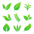 set of green leaves icon logo illustration template
