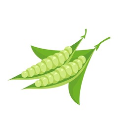 Poster - Green Pea Vegetable Icon