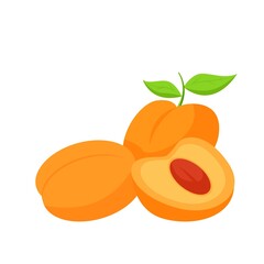 Wall Mural - Apricot Fruit Icon