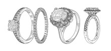 Jewellery. Hand Drawn Illustration Of Different Wedding Jewelry Rings Isolated On White Background.Sketch Of 4 Rings In One Drawing. Advertising Material