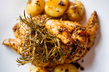 Canvas Print - rustic rosemary golden roast chicken and potatoes