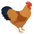 New Hampshire rooster Breed of chickens Vector illustration Isolated object