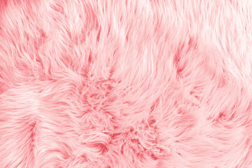 light pink long fiber soft fur. pink fur for background or texture. fuzzy pink fur plaid. shaggy bla