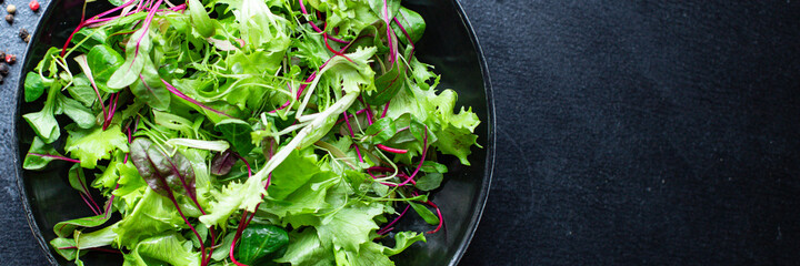 fresh green salad lettuce mix juicy microgreen snack  keto or paleo diet on the table healthy meal snack top view copy space for text food background rustic