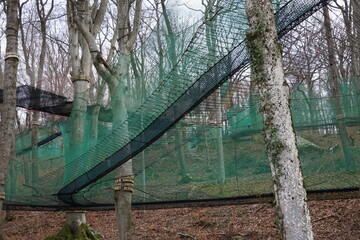 bridge in the forest, adventure park