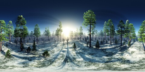 Winter forest in the rays of the sun, HDRI, environment map , Round panorama, spherical panorama, equidistant projection, panorama 360