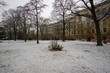 Berlin Tiergarten, Winter 2021, TU Gelände, Spree, City West