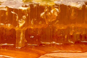 Close up  beautiful bee Honey In Honeycomb