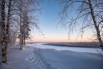 Wall Mural - winter landscape with trees and snow