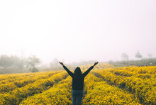 Adult Asia Traveller Woman Open Arm Relax In To Blossom Park Field In Misty Morning.