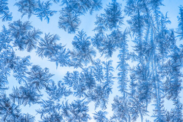 Poster - Icing on the glass. Close up view