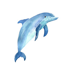 Watercolor Cute Jumping Cartoon Dolphin Isolated On White Background