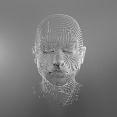 Wall Mural - 3d human head consisting of wires. virtual reality concept. 3d render / rendering